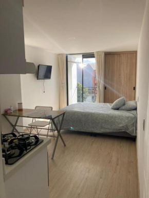 Apartaestudio Central con balcón